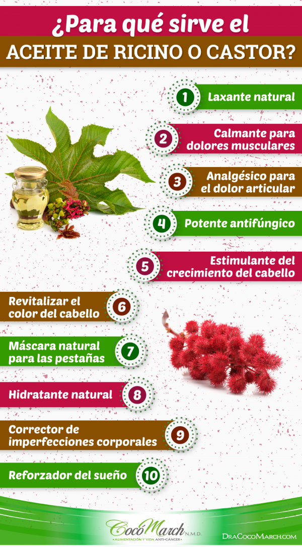 Beneficios Y Usos Del Aceite De Castor O Ricino Coco March