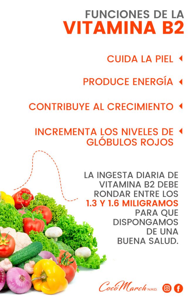 Cuál Es La Función De La Vitamina B2 Coco March