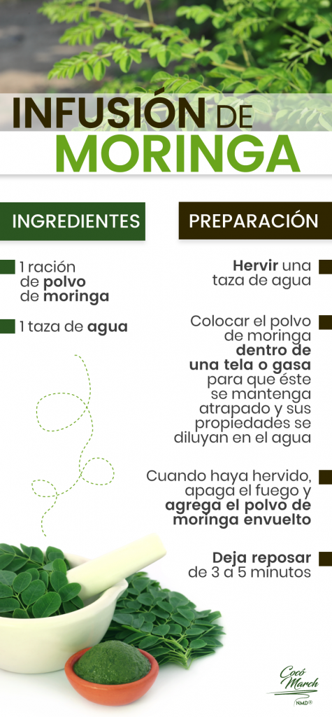 C Mo Tomar Moringa De Forma F Cil Y Efectiva Coco March