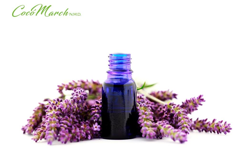 ¿conoces Los Beneficios Y Usos Del Aceite De Lavanda Coco Marchemk 1780