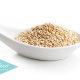 conoce-los-beneficios-que-tiene-la-quinoa-para-ti