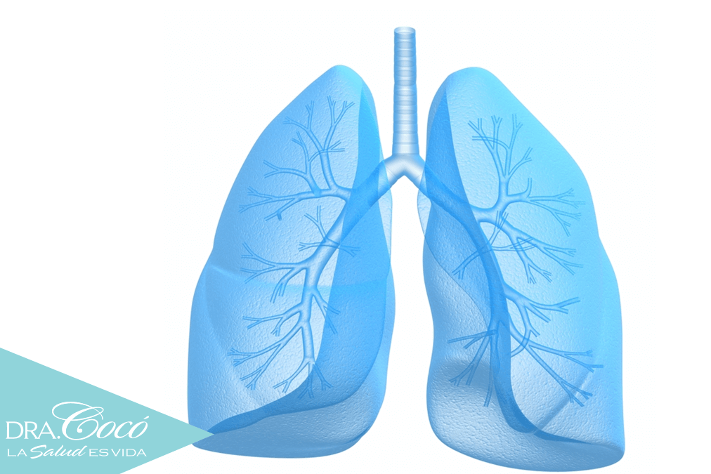 por-qué-el-tabaco-causa-cáncer-de-pulmón