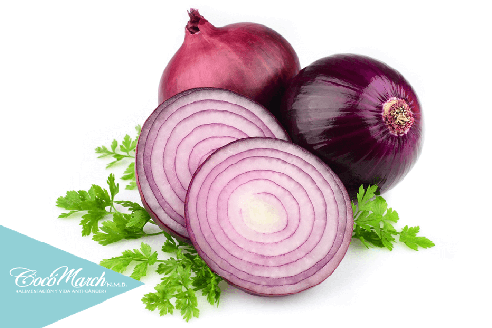 cebolla-alimento-anticáncer