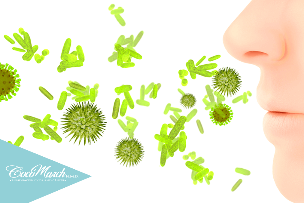 vacunas-naturales-para-la-gripe