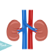 todo-sobre-la-acidosis tubular renal