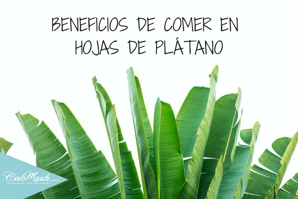 beneficios-de-las-hojas-de-plátano