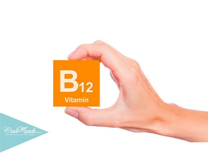 las-plantas-fuente-de-vitamina-b-12