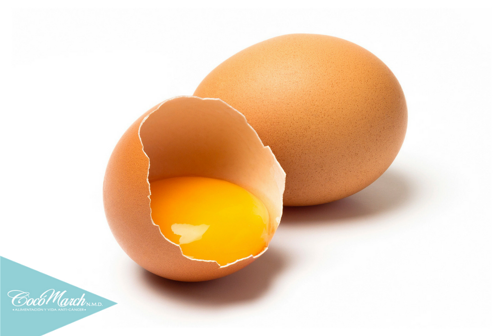 alimentos-ricos-en-serotonina