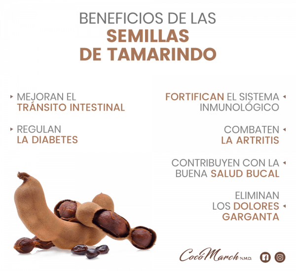 12 Beneficios De Las Semillas De Tamarindo Que Desconocías | Coco March