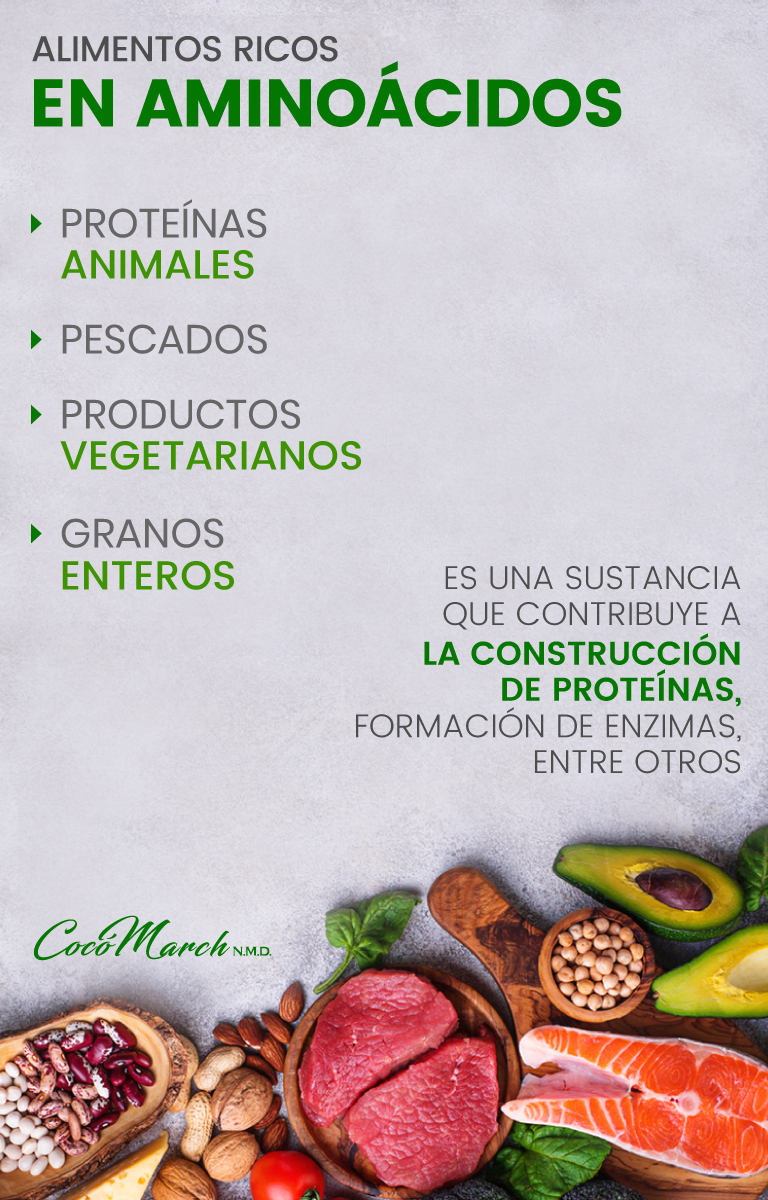 Alimentos Ricos En Aminoácidos Esenciales Coco March 0800