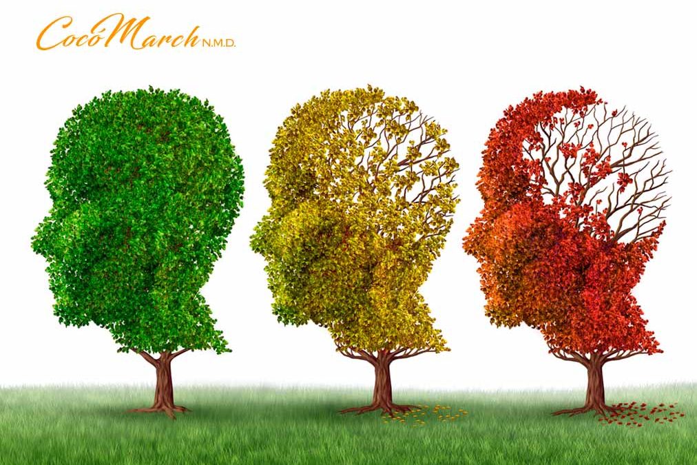 cambio-de-estilo-de-vida-para-prevenir-el-alzheimer