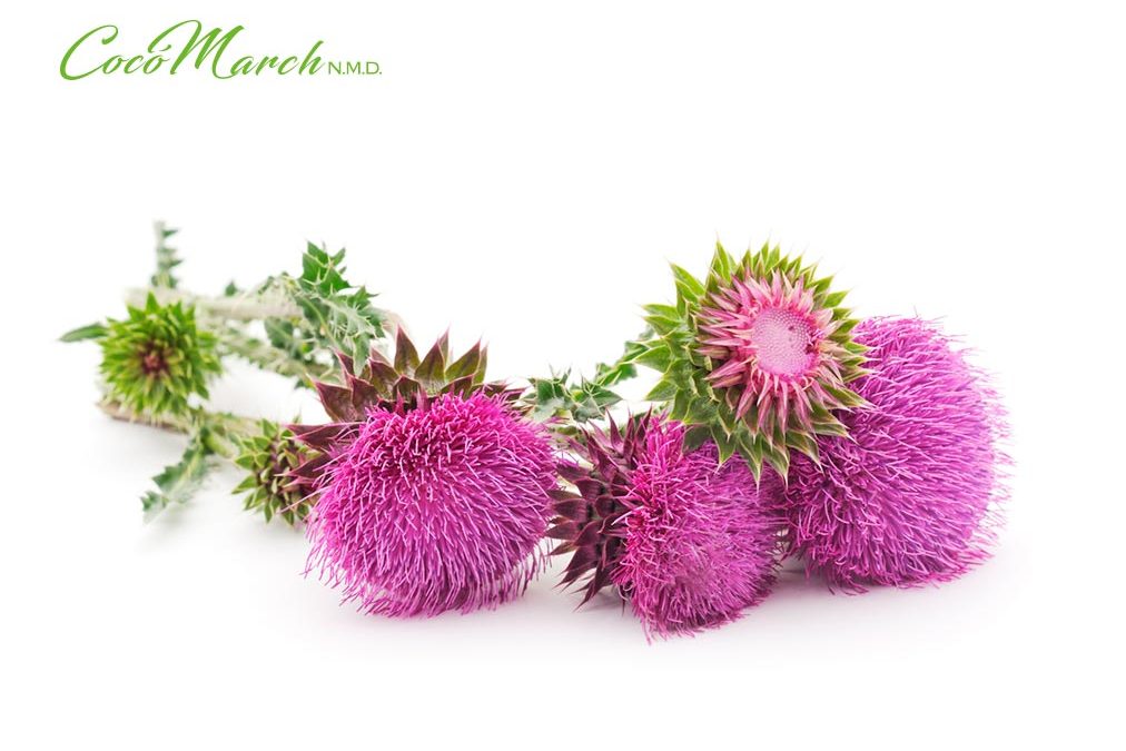 remedios-naturales-para-la-hepatitis