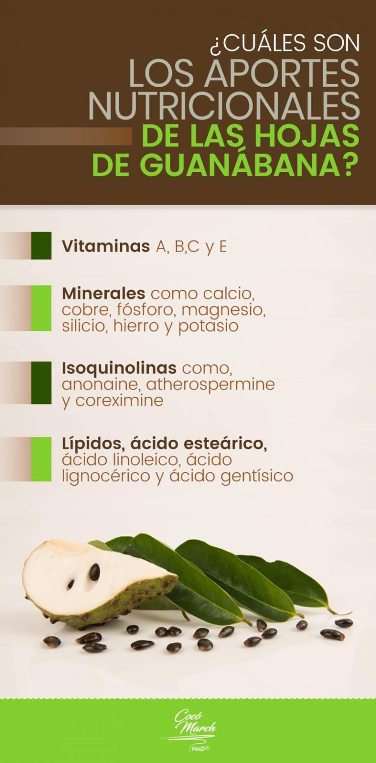 Hojas De Guanábana Veneno Para El Cerebro Cómo Preparar El Té De Hojas De Guanábana Para Adelgazar | Coco March