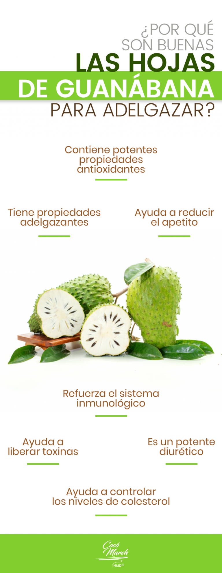 Hojas De Guanábana Veneno Para El Cerebro Cómo Preparar El Té De Hojas De Guanábana Para Adelgazar | Coco March