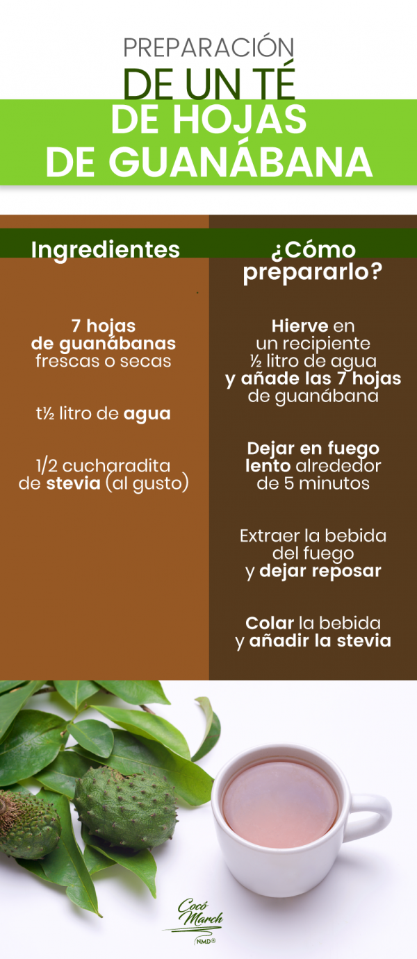 Hojas De Guanábana Veneno Para El Cerebro Cómo Preparar El Té De Hojas De Guanábana Para Adelgazar | Coco March