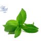 la-stevia-puede-curar-la-enfermedad-de-lyme