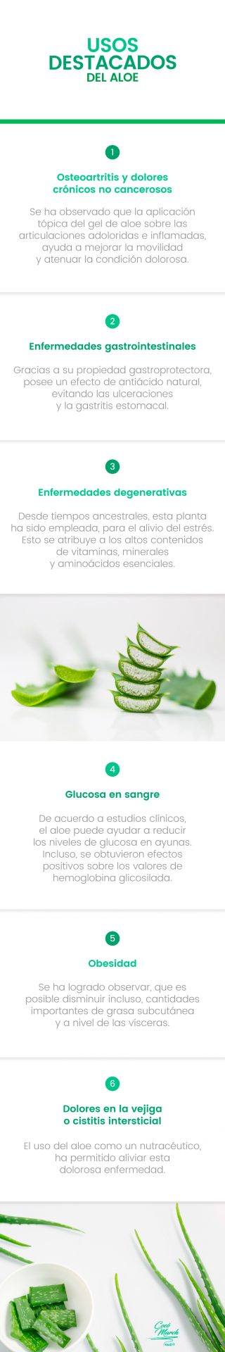 18 Increíbles Usos Del Aloe Vera Que Quizá No Conocías Coco March 7598