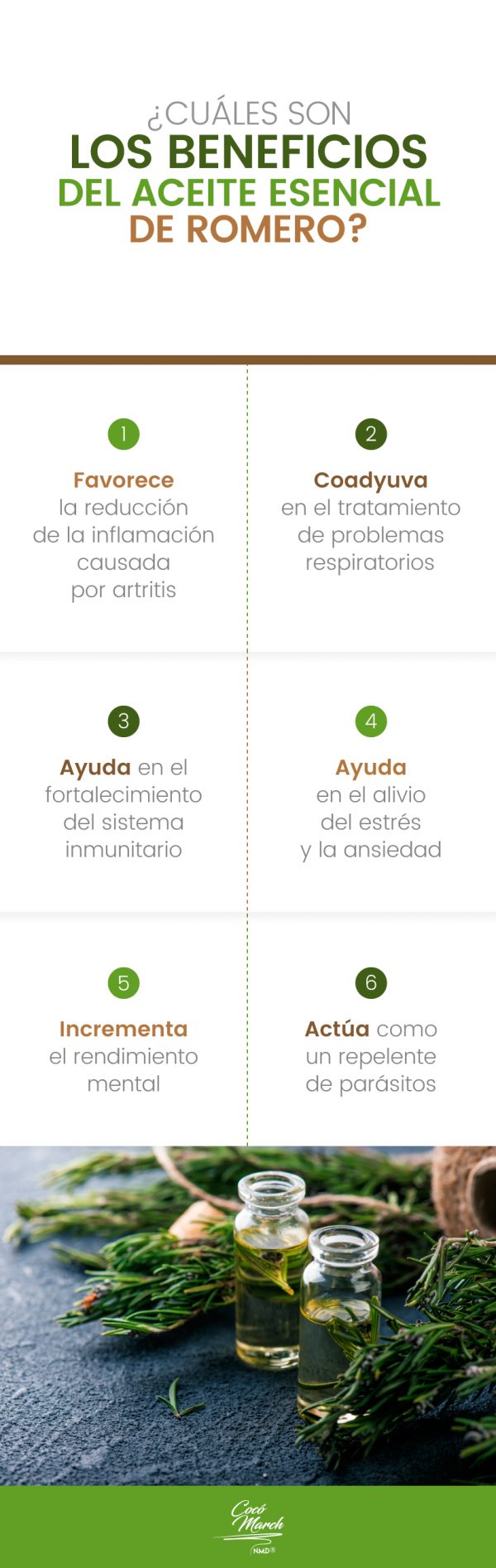 11 Beneficios Del Aceite Esencial De Romero Que NO Conocías | Coco March