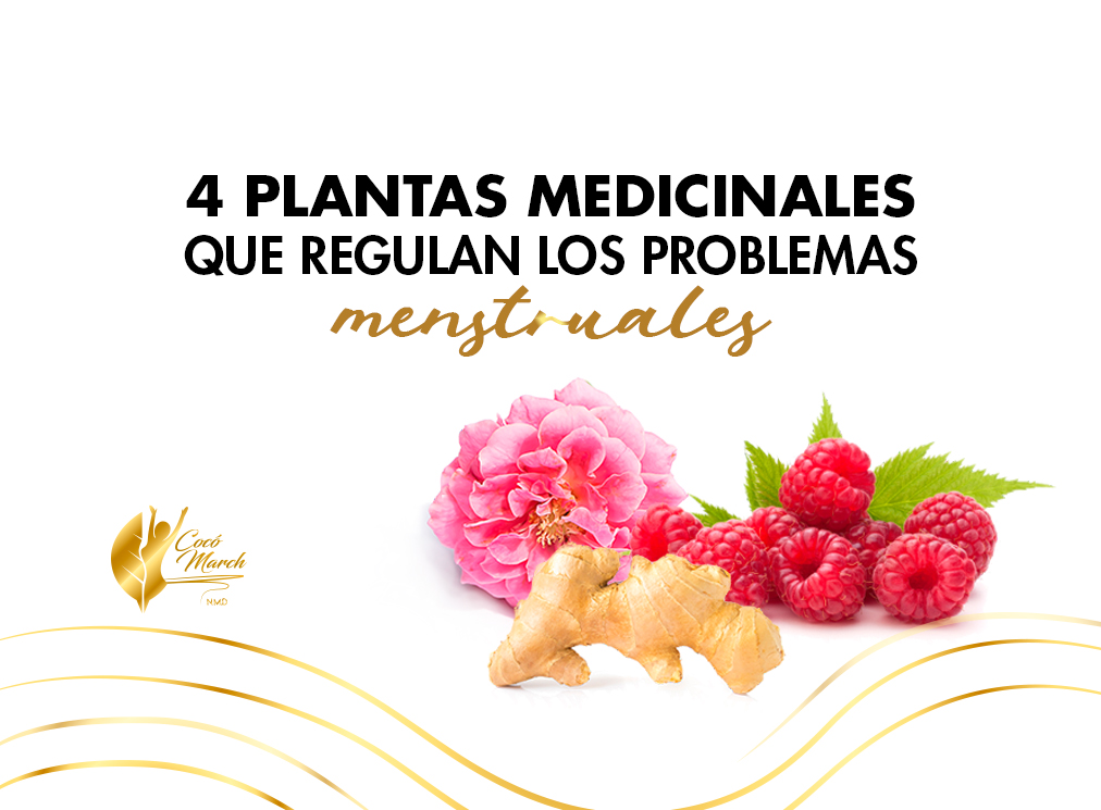 plantas-medicinales-regulan-problemas-menstruales