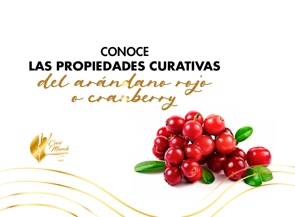 conoce-propiedades-curativas-del-arandano-rojo-o-cranberry