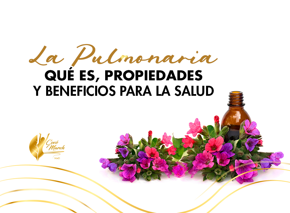 la-pulmonaria-que-es-propiedades-beneficios