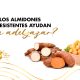 almidones-resistentes-ayudan-a-adelgazar