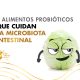 alimentos-probioticos-que-cuidan-microbiota-intestinal