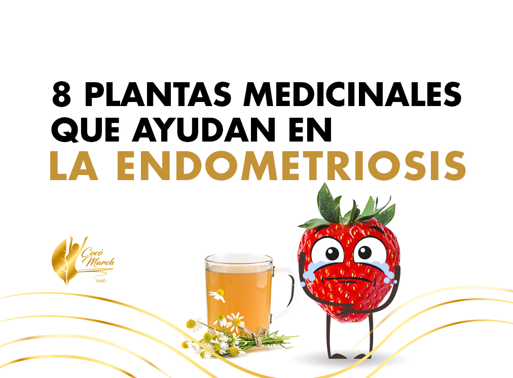 plantas-medicinales-que-ayudan-en-la-endometriosis