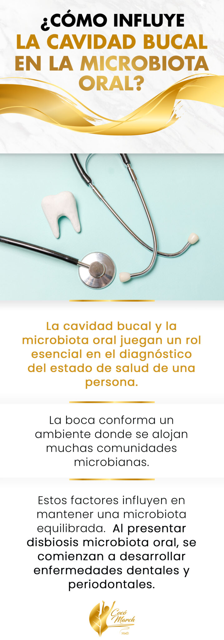 Microbiota Oral: Factores Y Condiciones Que La Afectan | Coco March