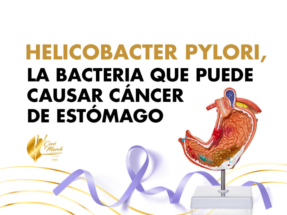 Helicobacter Pylori: La Bacteria Que Puede Causar Cáncer De Estómago | Coco March
