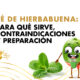 Té De Hierbabuena: Para Qué Sirve, Contraindicaciones y Preparación | Coco March
