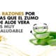3 Razones Por Las Que El Zumo De Aloe Vera Es Muy Saludable | Coco March